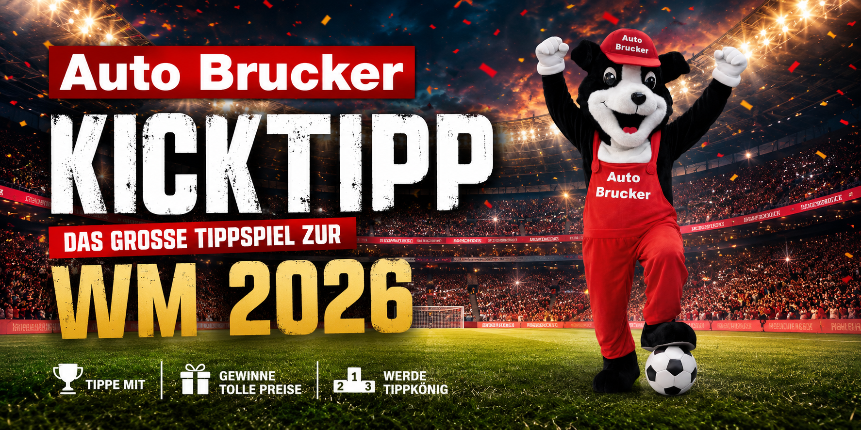 Header_VIP-Tipp